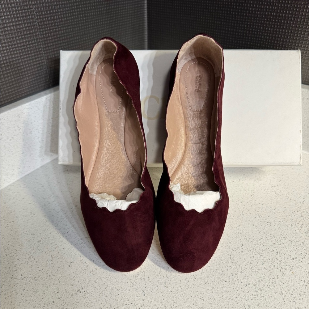 $550 Chloé Suede Scalloped Accent Ballet Flats Dark Red 38.5 NIB - Picture 3 of 8
